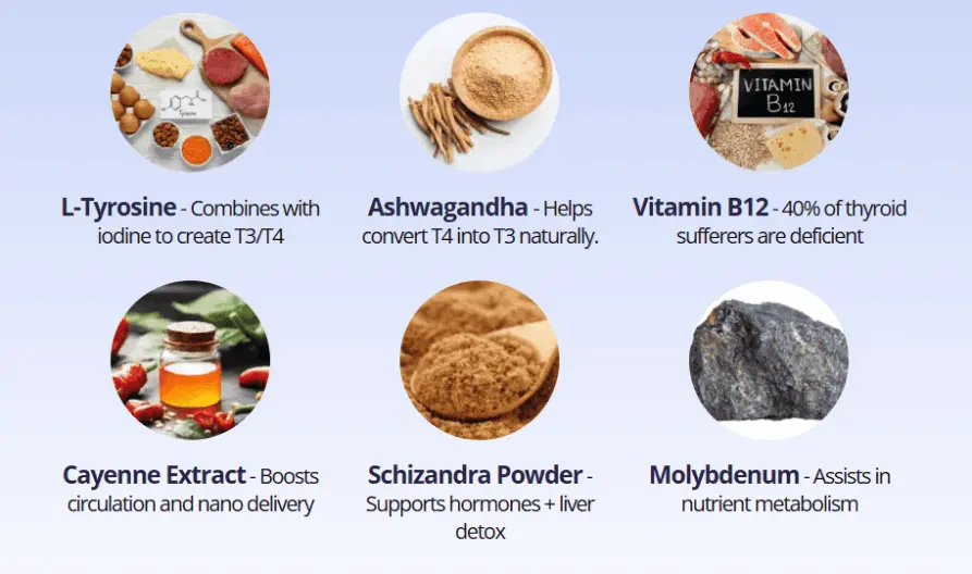 complete thyroid ingredients